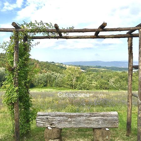 Casarciccia Guest House Todi Bagian luar foto