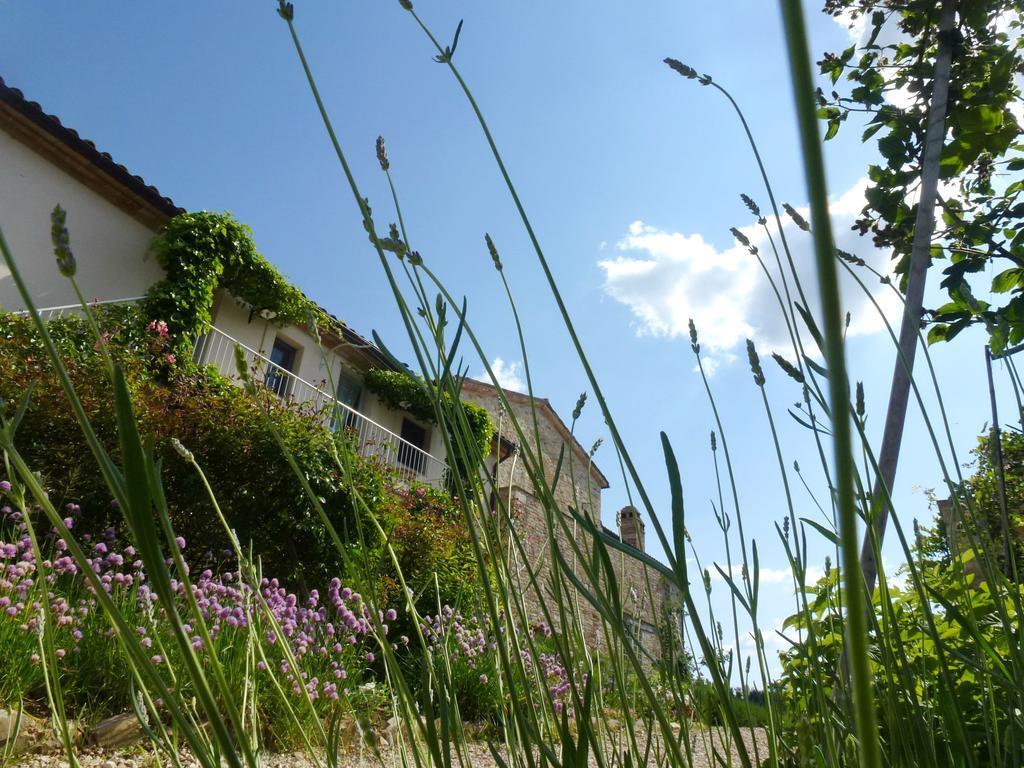 Casarciccia Guest House Todi Ruang foto