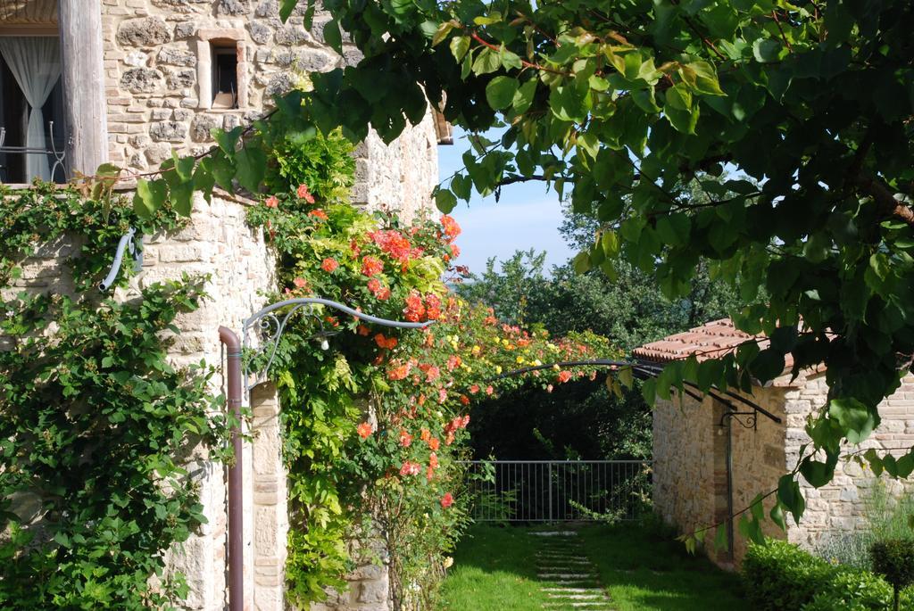 Casarciccia Guest House Todi Bagian luar foto