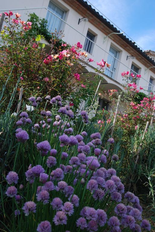 Casarciccia Guest House Todi Ruang foto