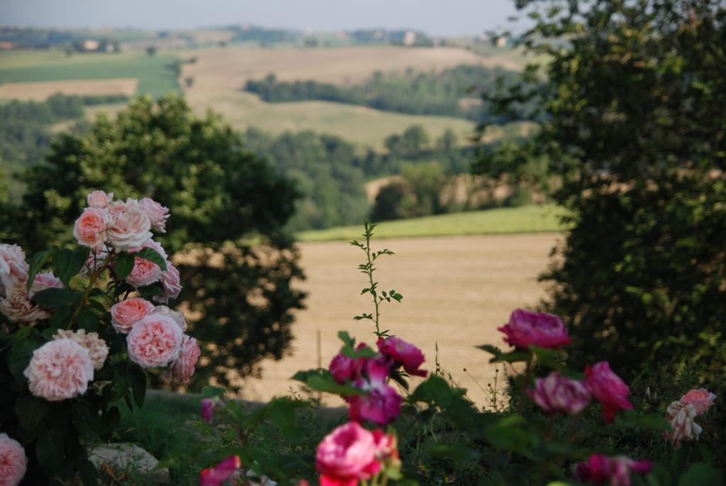 Casarciccia Guest House Todi Bagian luar foto