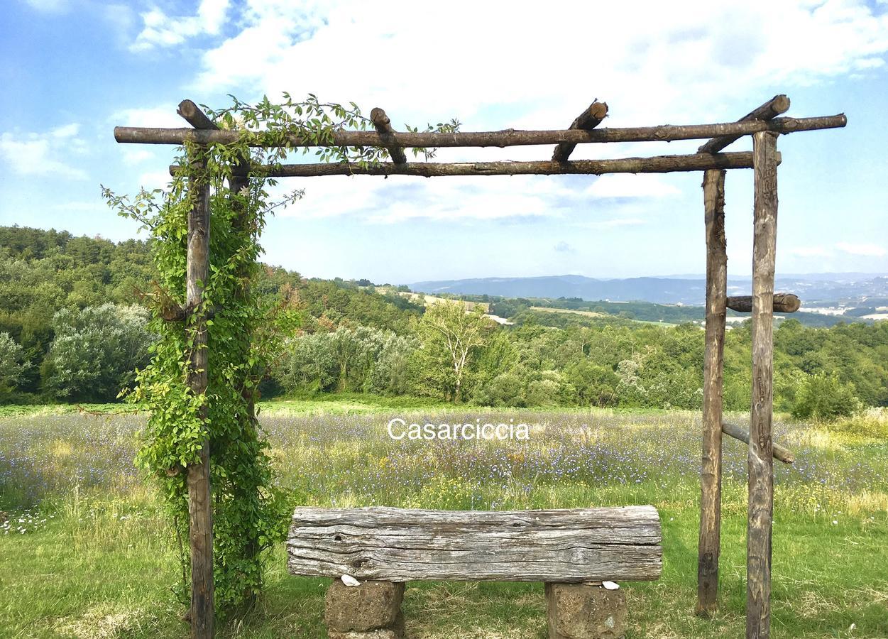 Casarciccia Guest House Todi Bagian luar foto